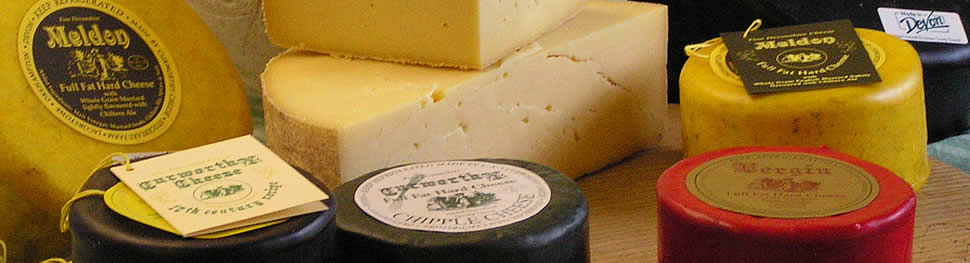 Curworthy Cheese, unique semi hard full flavoured cheese made on the farm in Devon
